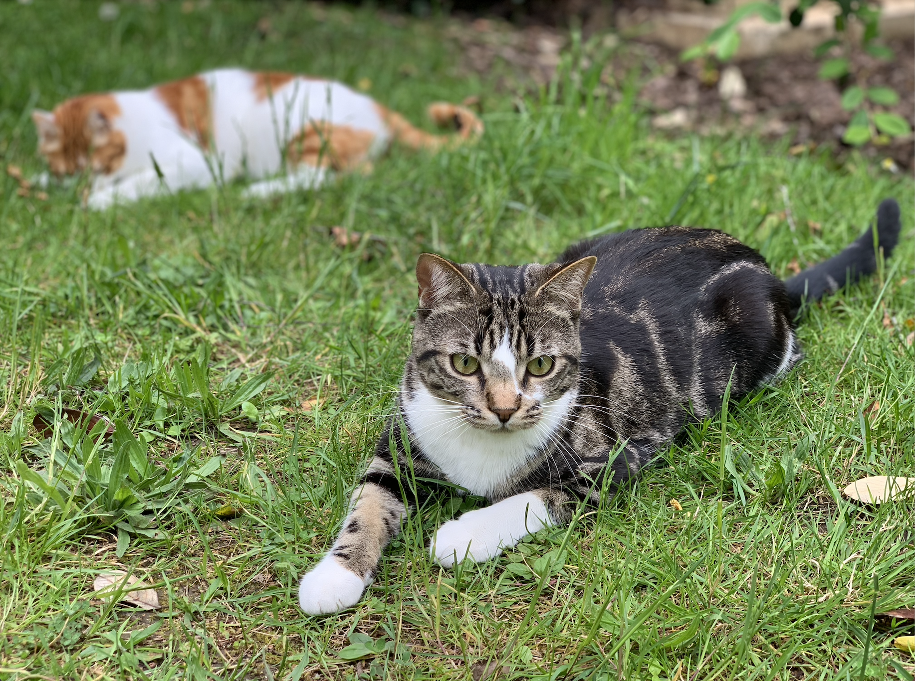 Photo d'une consultation comportementale